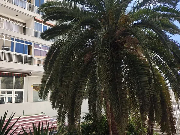 Estudio en Familia Betancourt y molina, 26 - Foto 14