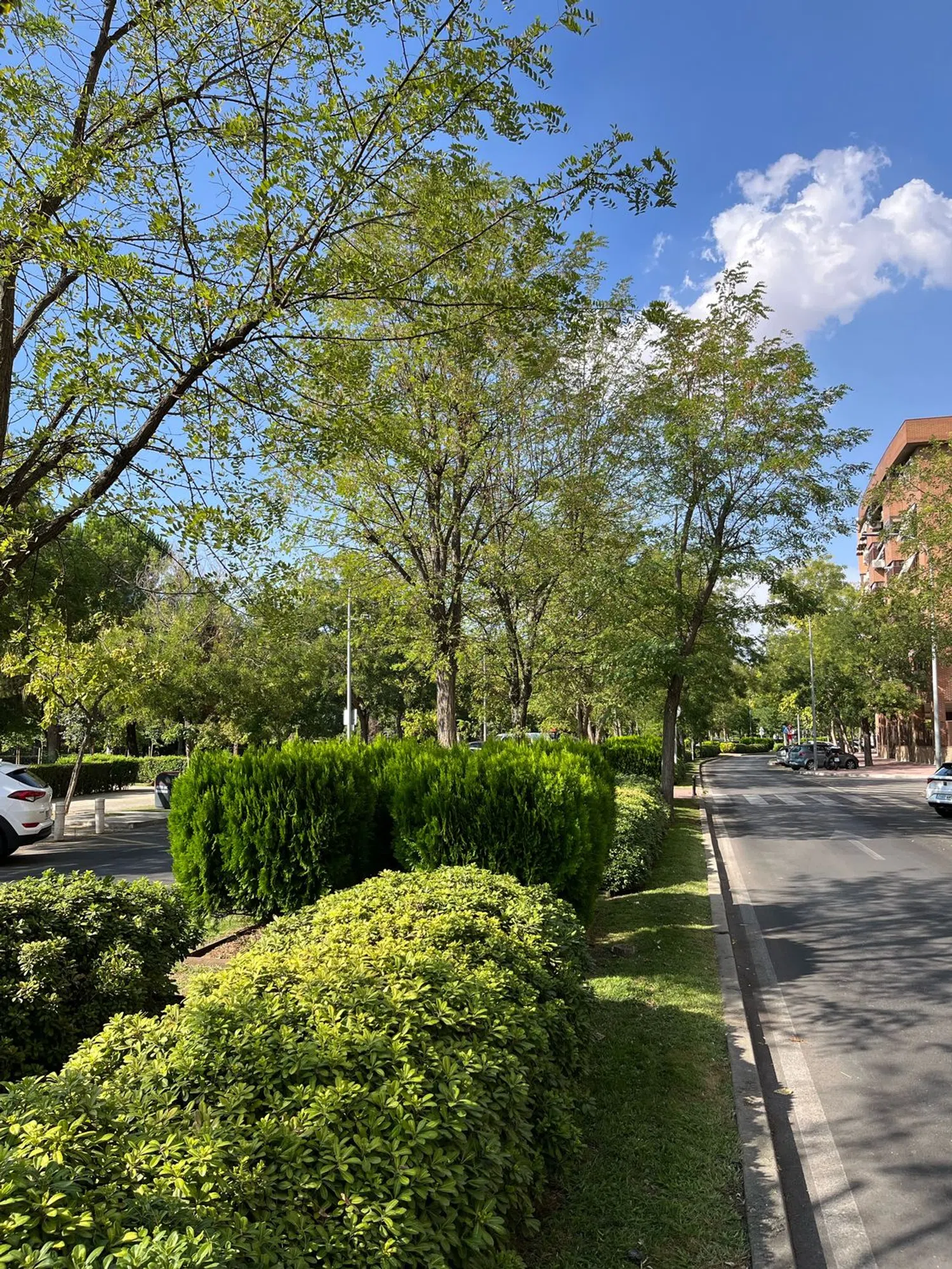 Piso en avenida de los Descubrimientos, 4 - Foto 1