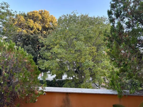 Piso en Calle del Vall, 67, Centre - Foto 29