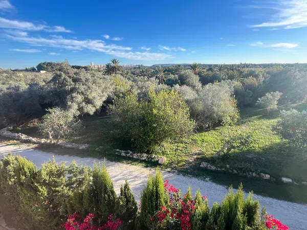 Casa independiente en El Altet - Balsares - Foto 5