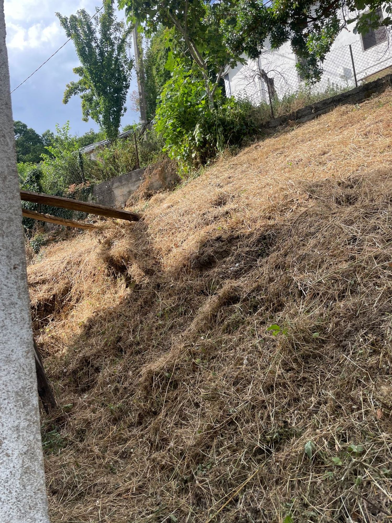 Casa de pueblo en Calle Capeloso s/n - Foto 6