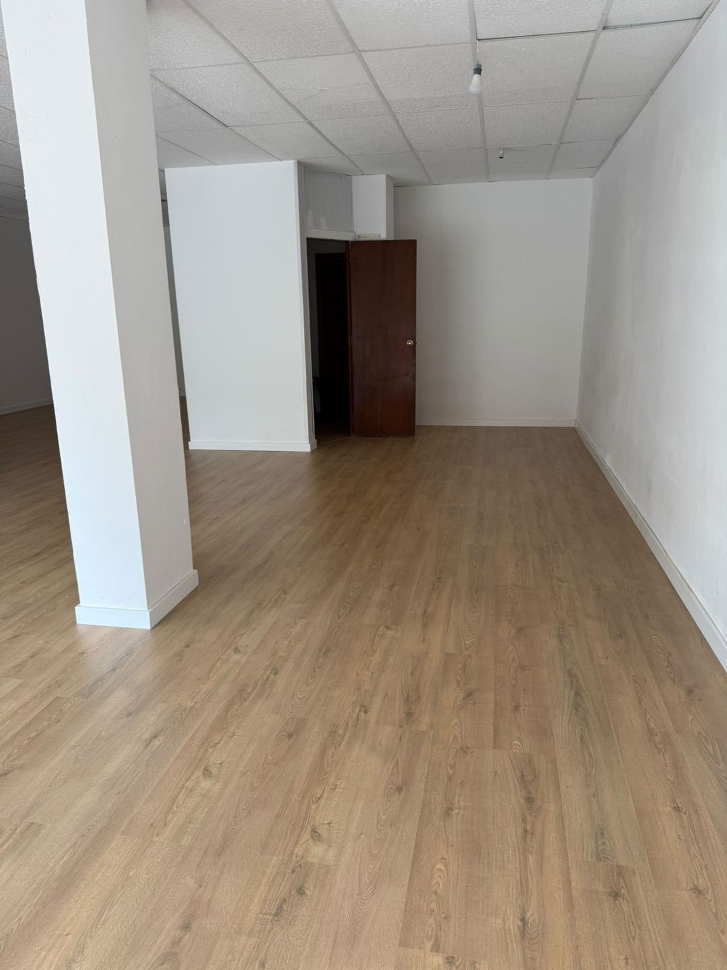 Local en Calle de Pompeu Fabra, Campreciós - Torre Roja, Campreciós - Torre Roja - Foto 3