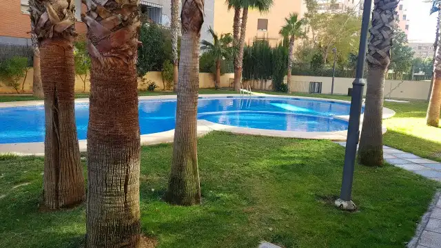 Piso en  Avinguda Escultor Miquel Navarro Navarro - Foto 49