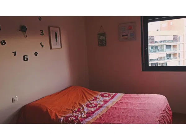 Piso en avenida Medico Ricardo Ferrer, 42 - Foto 4