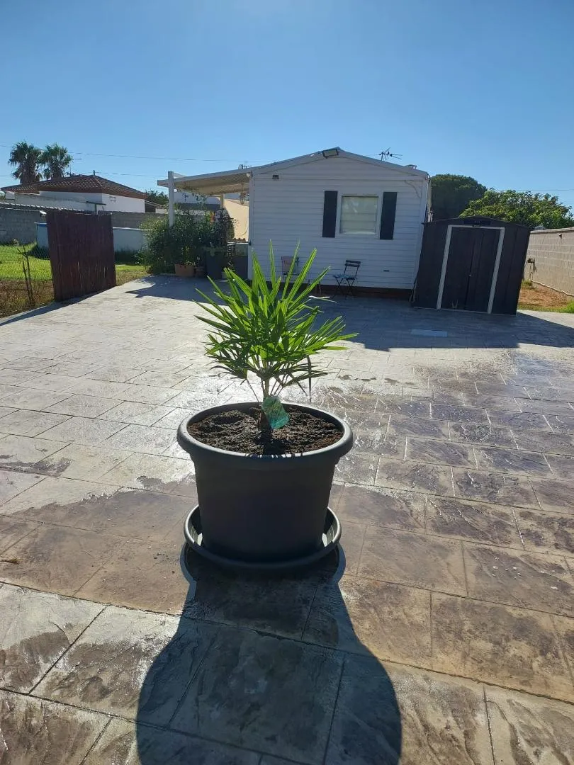 Chalet en  Camino del Sotillo 51 - Foto 1