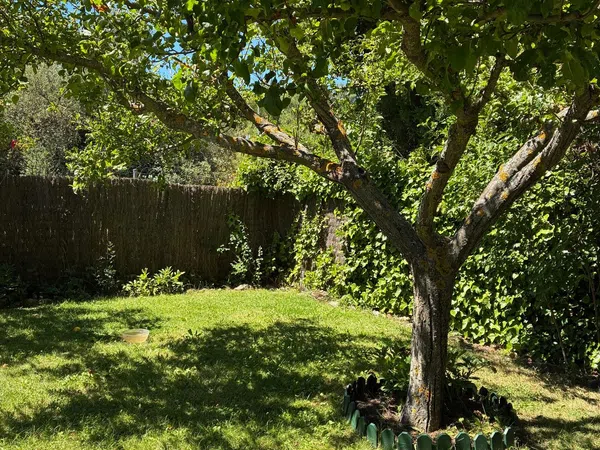 Chalet pareado en Calle Antílope, 4, San Rafael, San Rafael - Foto 5