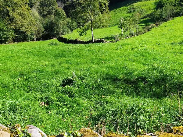 Finca rústica en Campillo-Disem, 6 - Foto 6