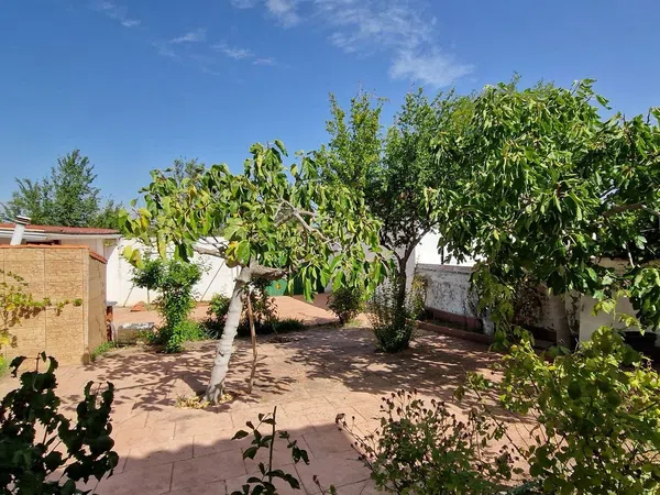 Chalet pareado en Prado de Somosaguas, Prado de Somosaguas - Foto 9