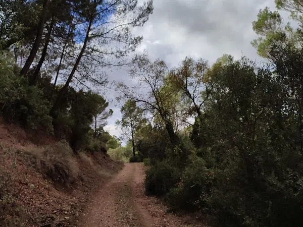 Cortijo en Carretera a Cortijos Nuevos s/n - Foto 2