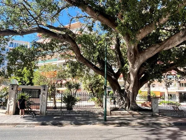 Piso en Avenida del Pintor Joaquín Sorolla, 57, Limonar - Foto 1