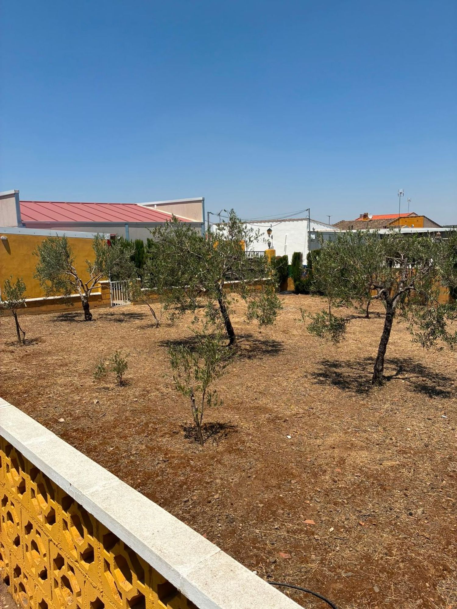 Casa rural en Calle Paleras, 1 - Foto 2