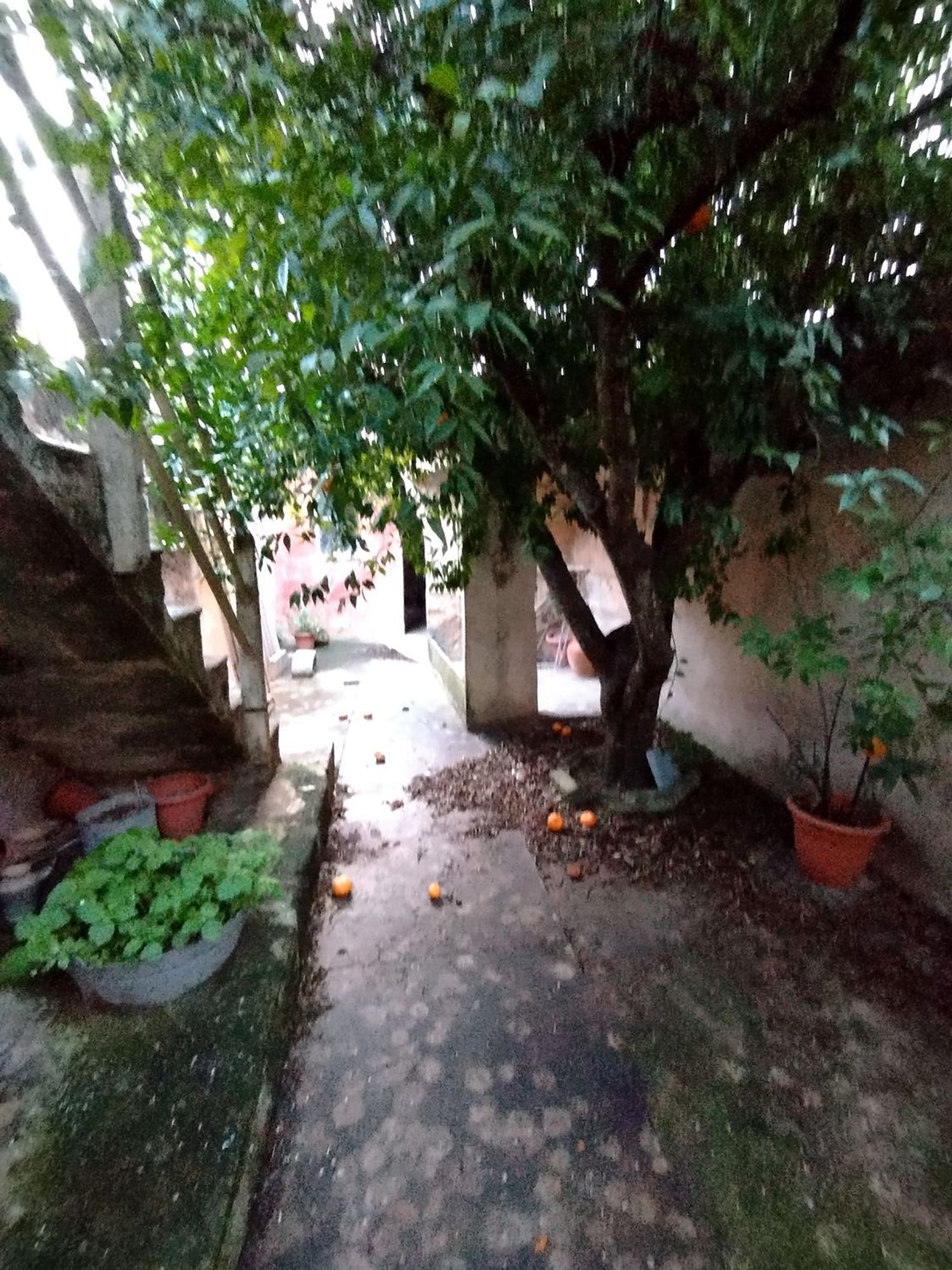 Casa de pueblo en Calle Major, 28 - Foto 18