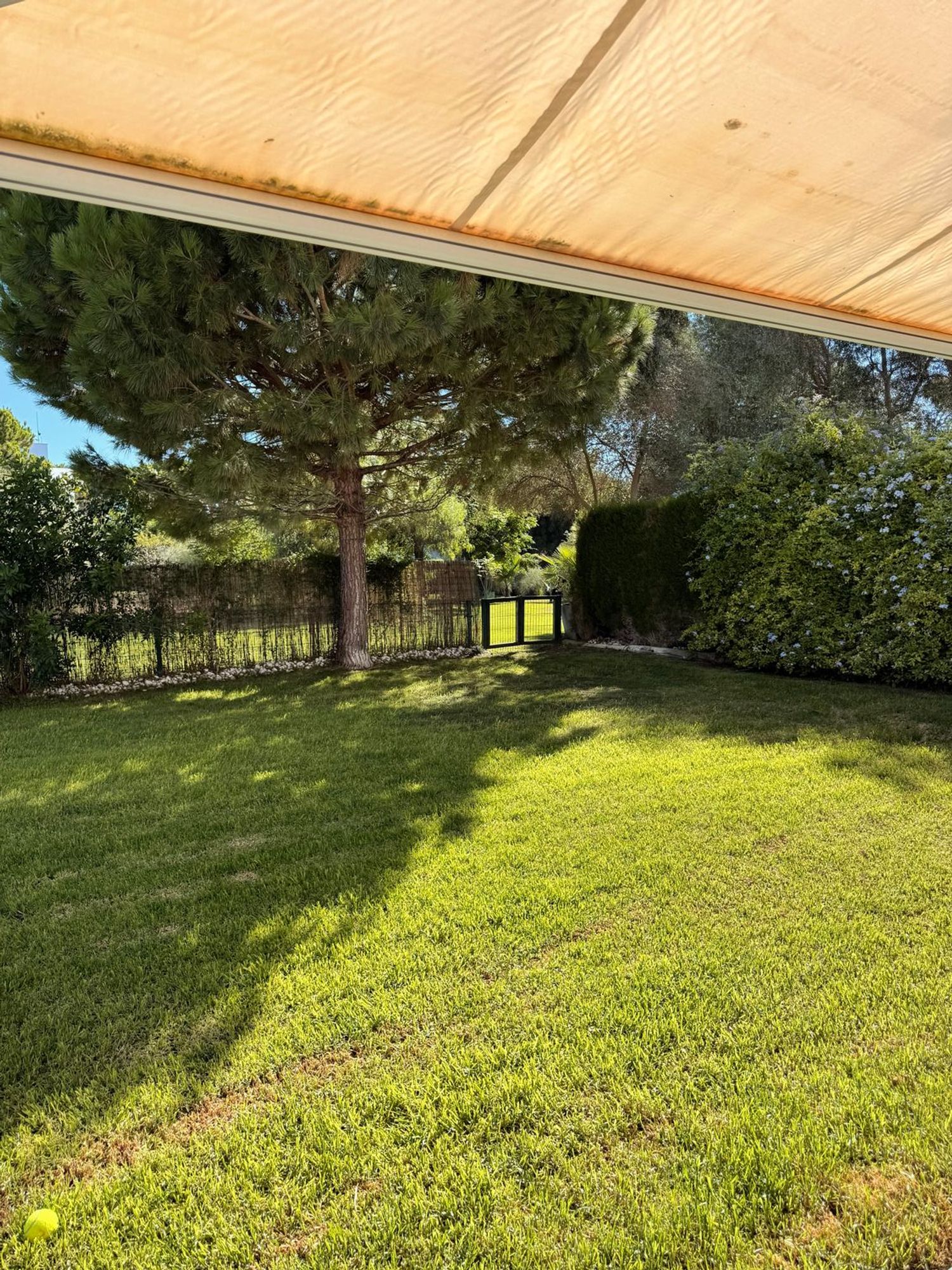 Casa o chalet independiente en Calle Amerigo Vespucci, 30, Vistahermosa - Foto 12