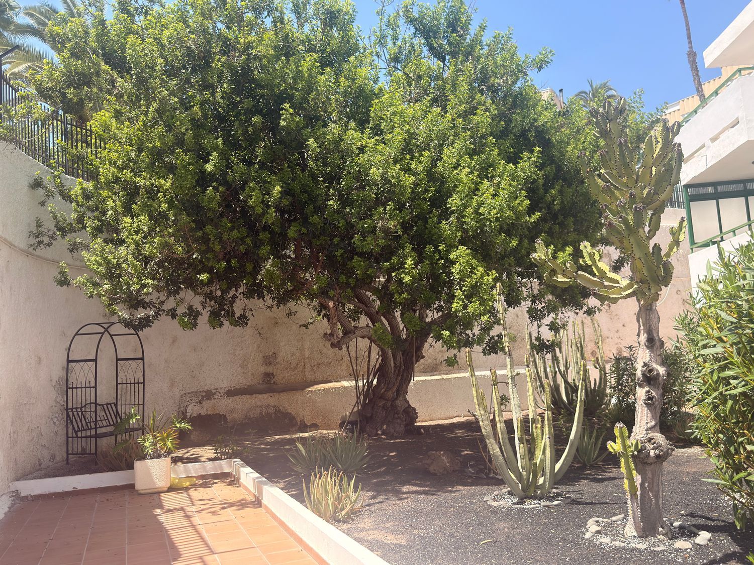 Piso en Avenida de Tirma, 6, Playa del Inglés, Playa del Inglés - Foto 4