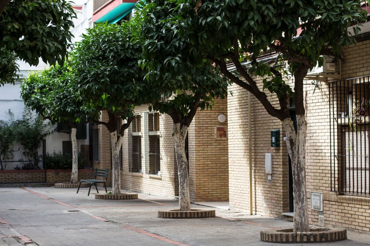 Piso en Calle San Jacinto, 25, Calle Betis - Pagés del Corro - Foto 9