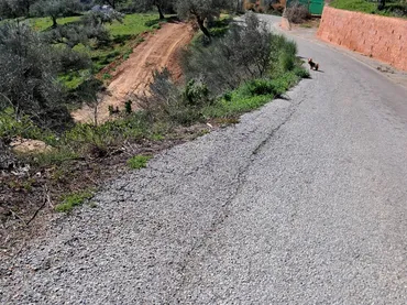 Finca rústica en  Diseminado el Cerval Pol 15 34B - Foto 28