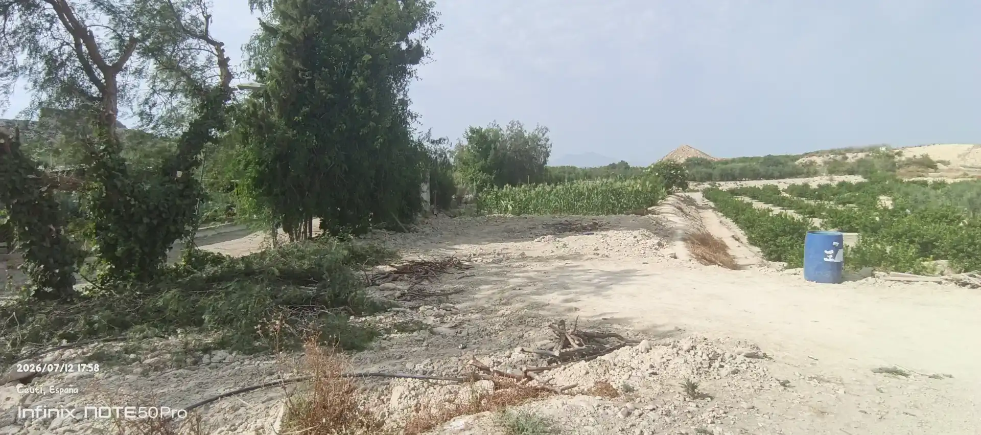 Finca rústica en  Autovía de Murcia 582 - Foto 10
