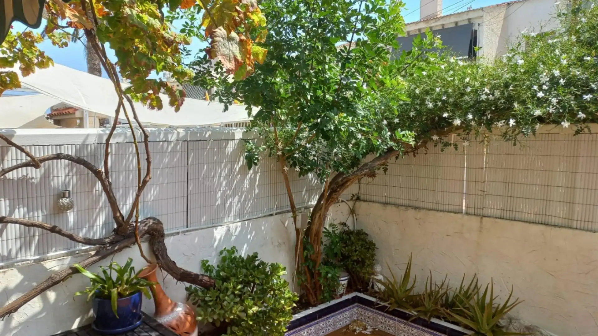 Dúplex en  Avinguda América 9 - Foto 18