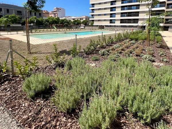 Piso en Calle Mare de Déu de la Victòria, 7, Son Gotleu - Foto 15
