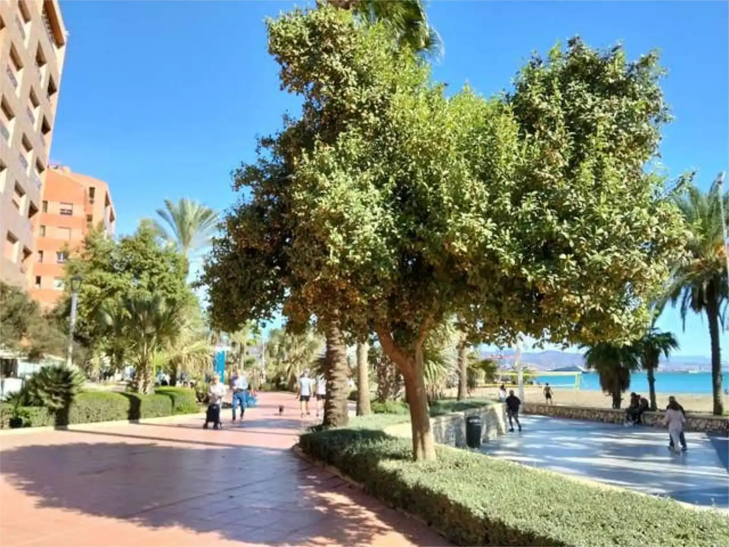 Estudio en Parque Mediterraneo - Foto 5