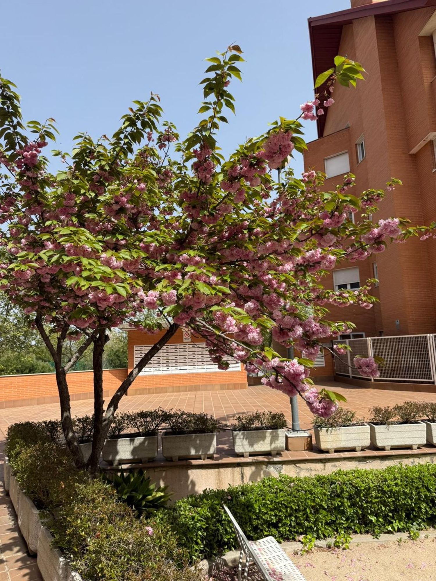 Dúplex en calle de la Bahía de Málaga, 24 - Foto 25