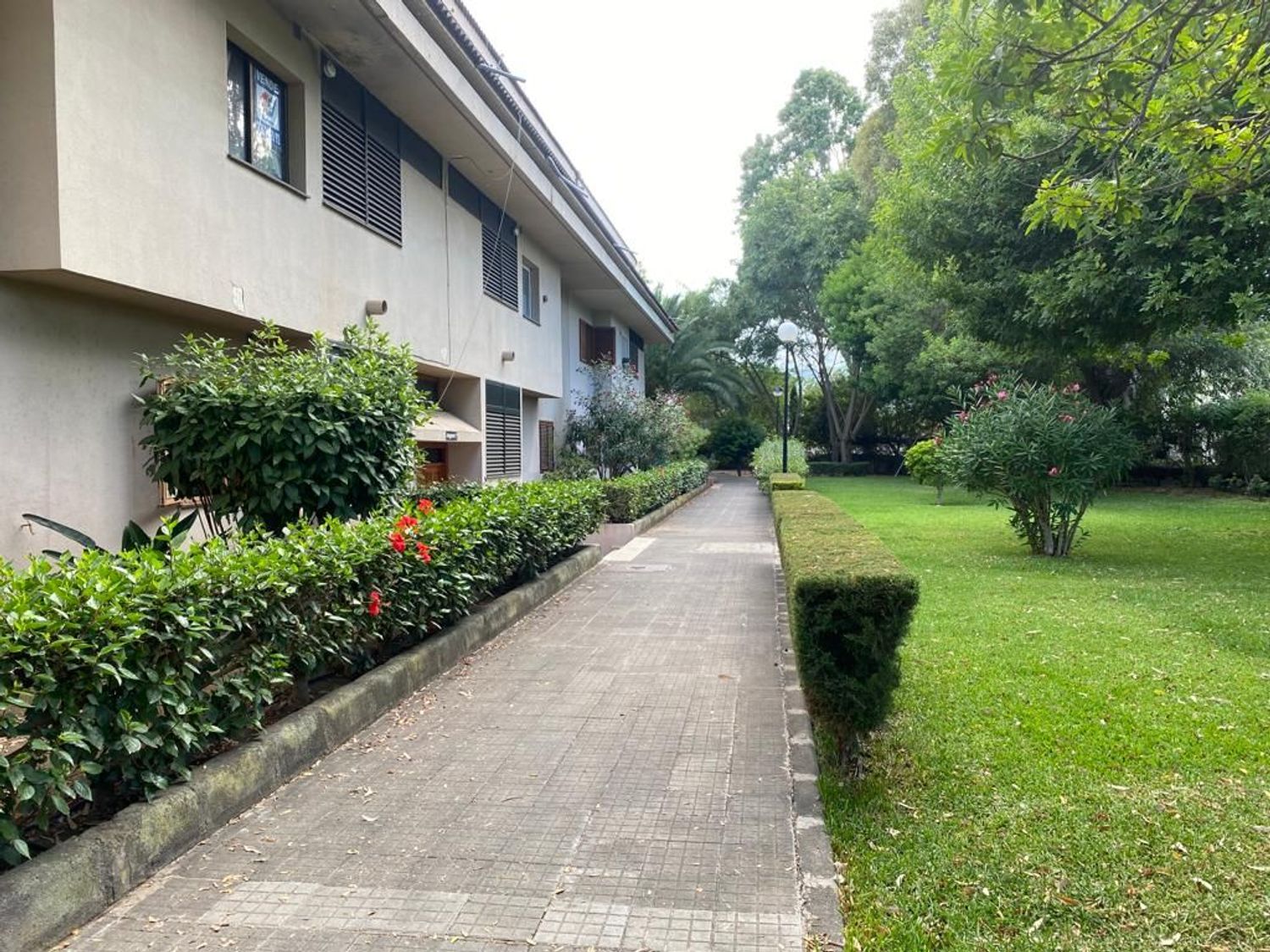 Dúplex en Urbanización Montebravo, 7 edificiolosPinos - Foto 22