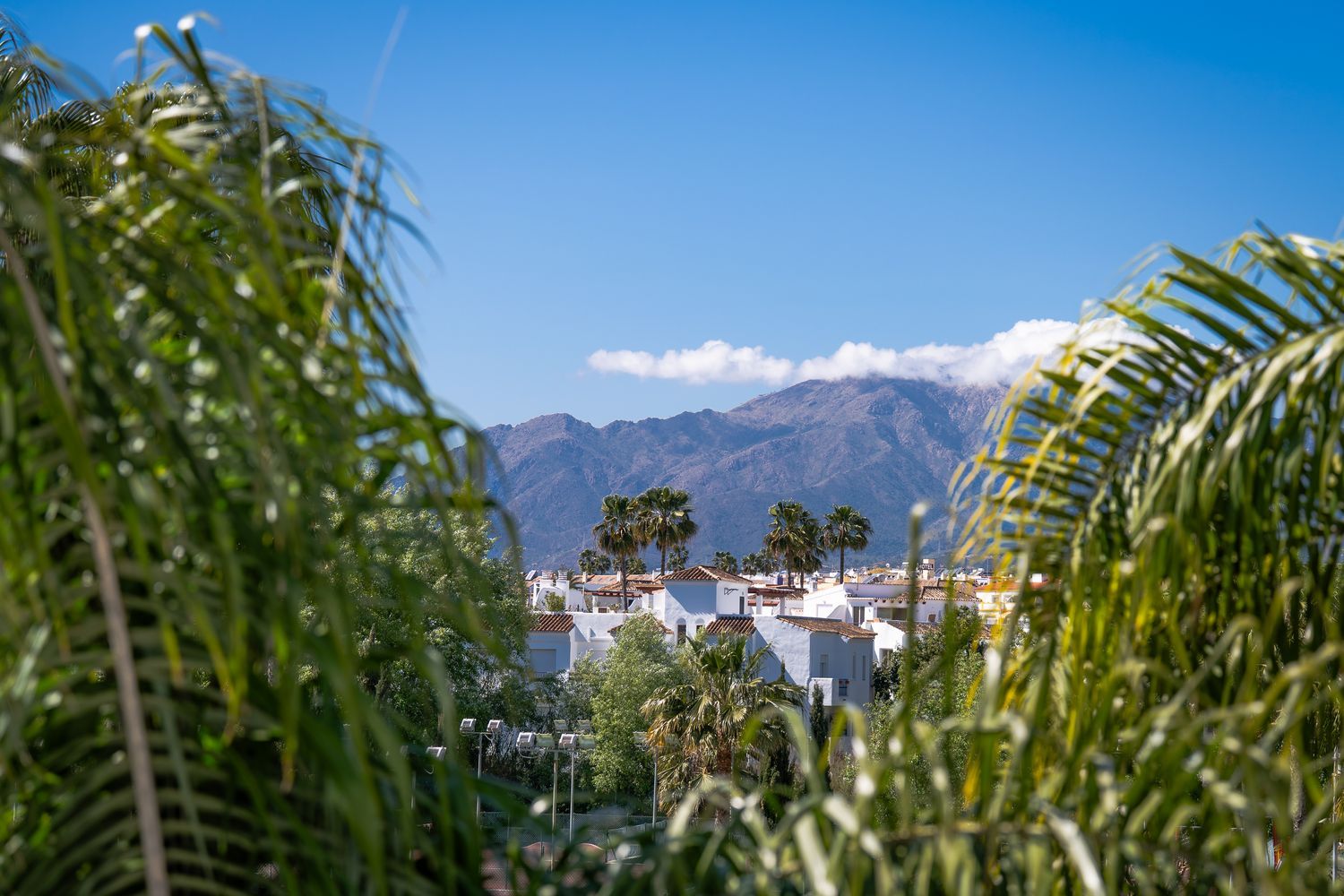 Piso en Urbanización Villas de Costalita, 1 - Foto 32