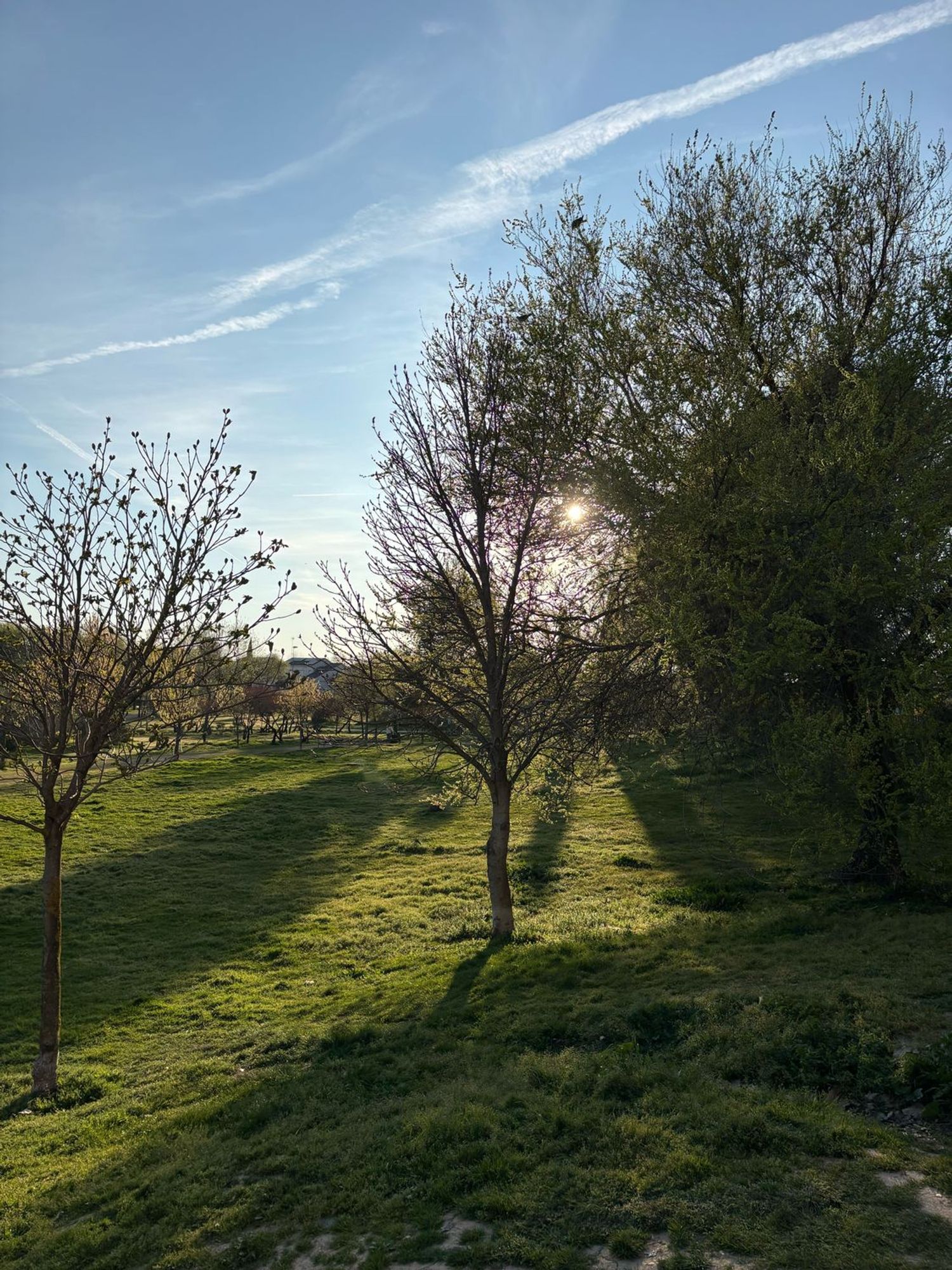 Piso en calle Coslada, 18 - Foto 18