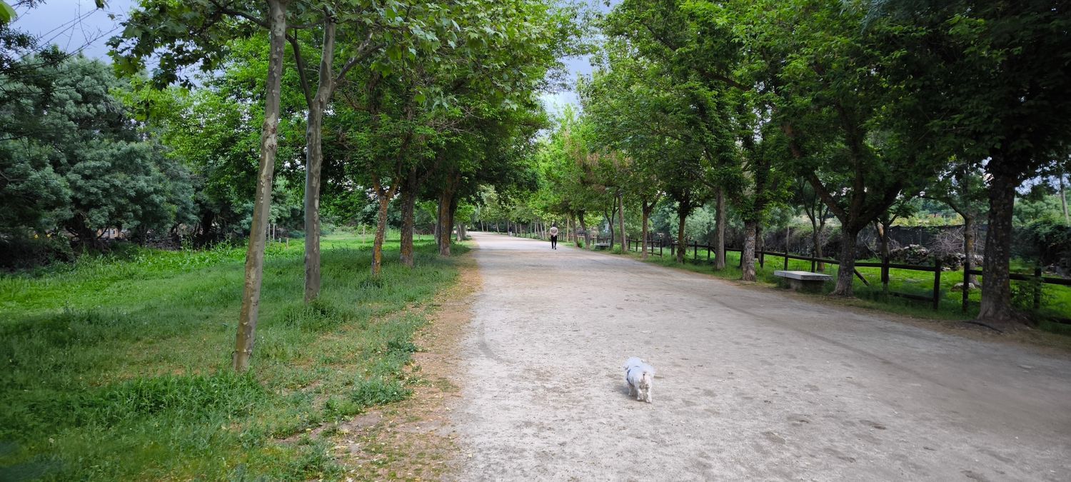 Piso en Calle Escuelas, 82, Deportivo Galapagar - Los Almendros, Deportivo Galapagar - Los Almendros - Foto 6