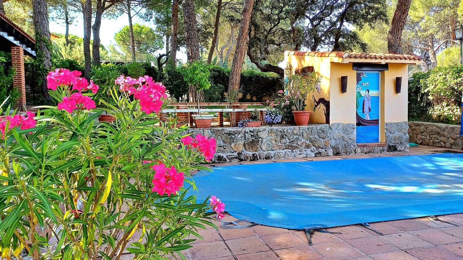 Casa o chalet independiente en Calle Sierra, 9 - Foto 40