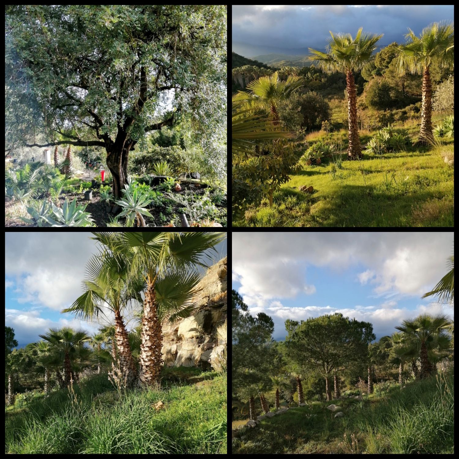 Casa independiente en Carretera, 188 - Foto 35