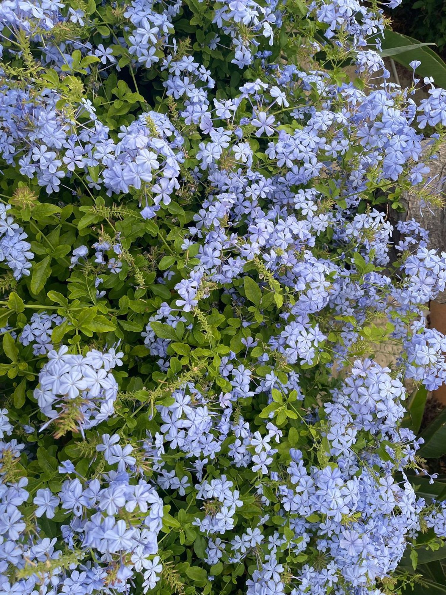 Piso en calle Casares del Sol, 14 - Foto 34