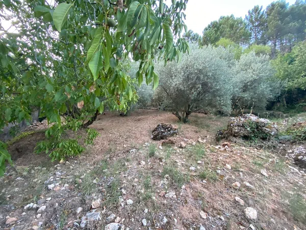 Finca rústica en Sn s/n - Foto 19