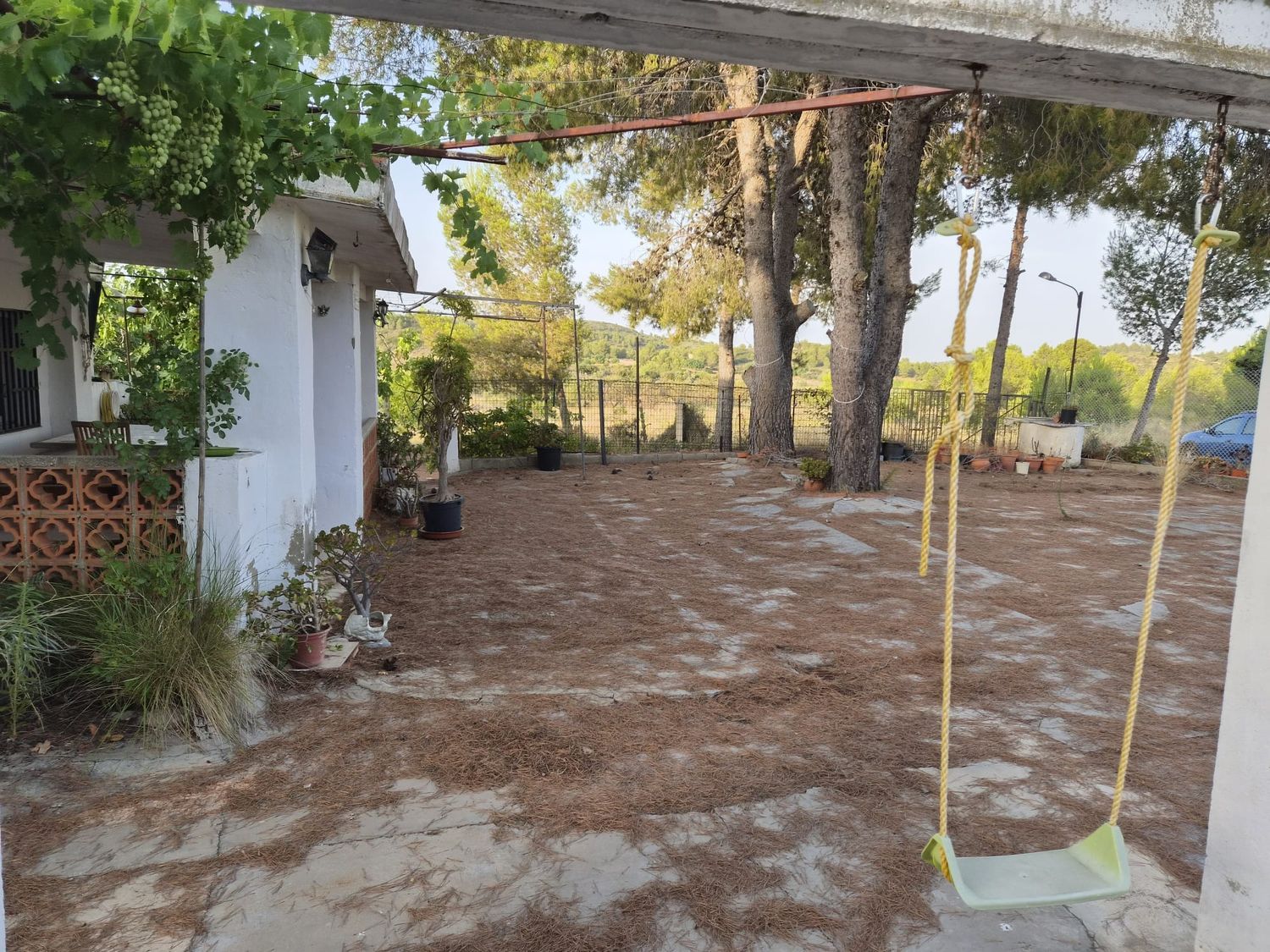 Finca rústica en Plaza Numero 3, 148, Las Pedrizas, Las Pedrizas - Foto 5