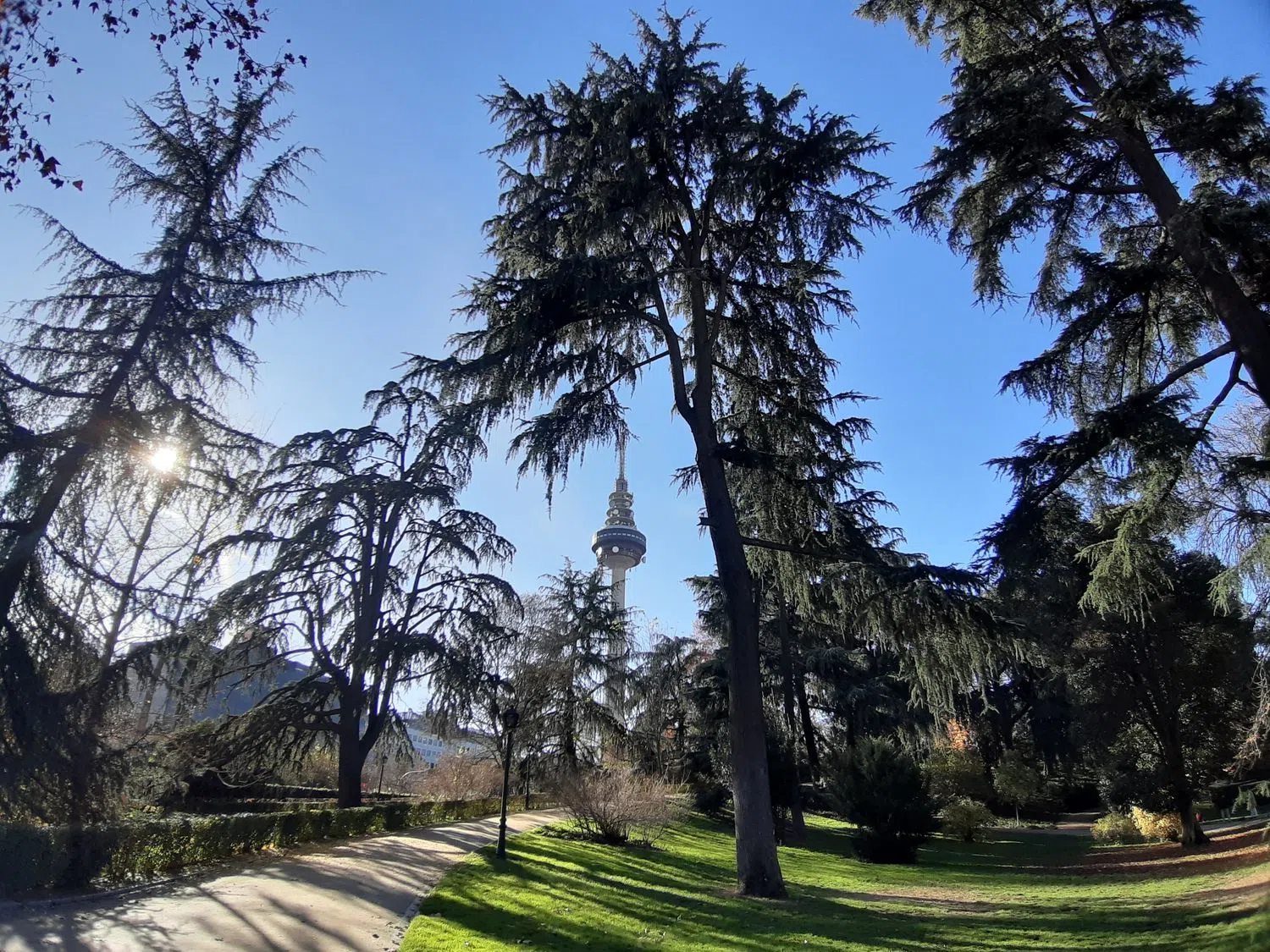 Estudio en M-30, 1 - Foto 11