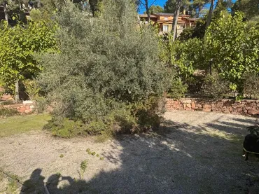 Terreno Residencial en  Passatge l'Dàlia 3 - Foto 9