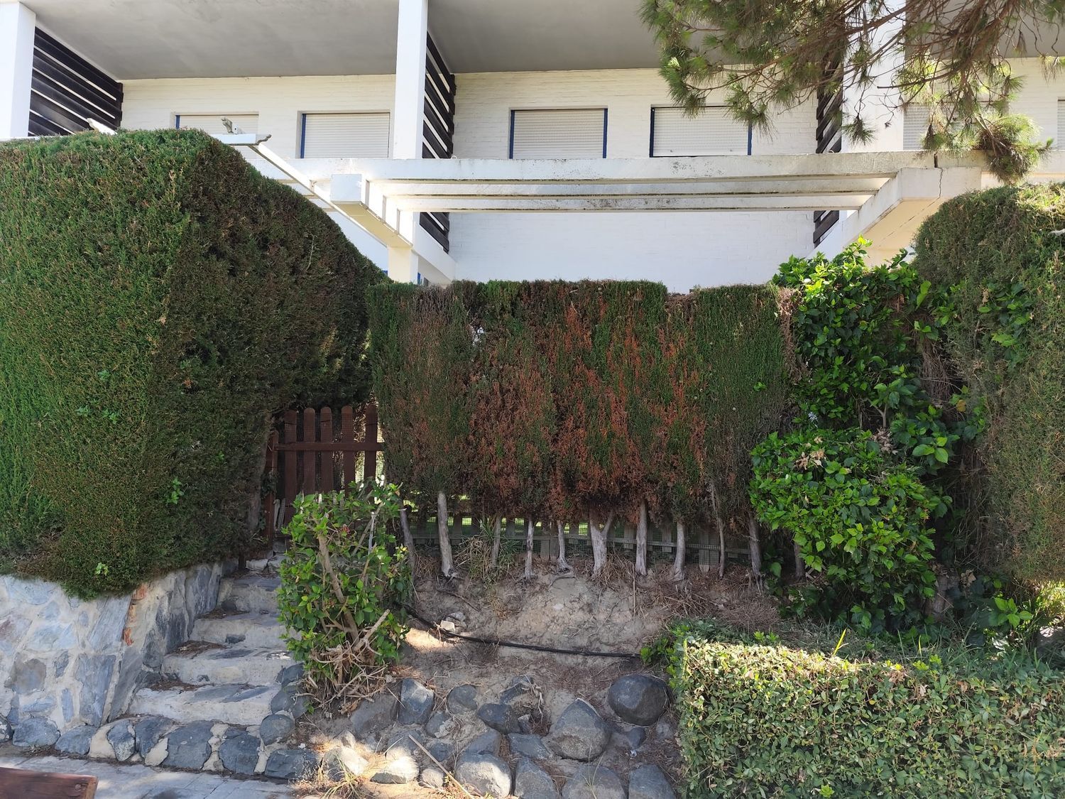 Casa rural en Costa ballena, 30, Costa Ballena - Las Tres Piedras, Costa Ballena - Las Tres Piedras - Foto 6