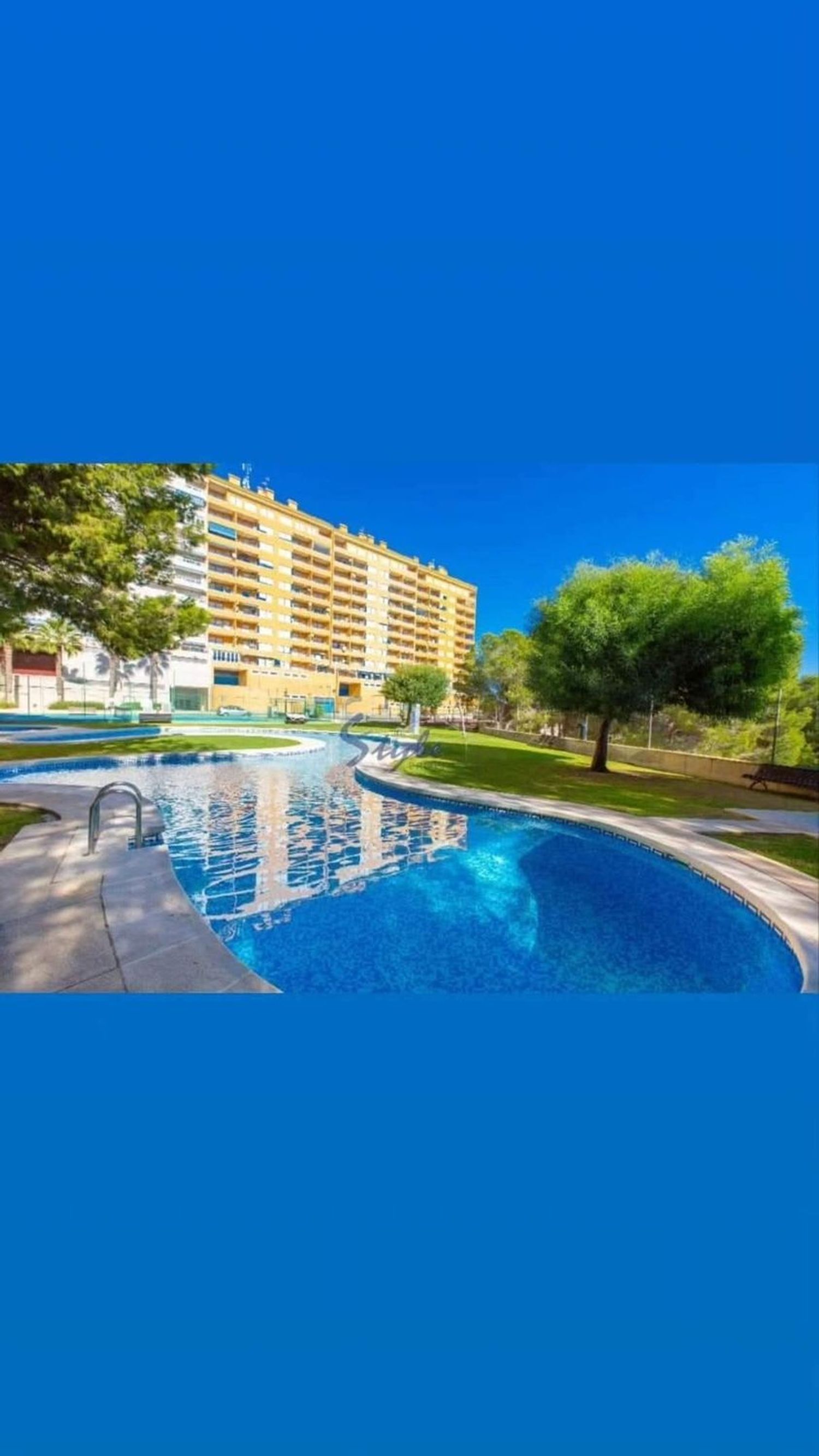 Estudio en Calle Altos Campoamor, 11, Campoamor - Foto 20