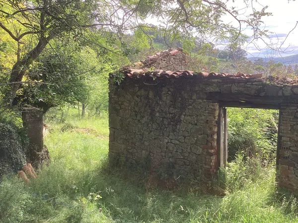 Casa rural en Avenida Alisas, 3 Km - Foto 27