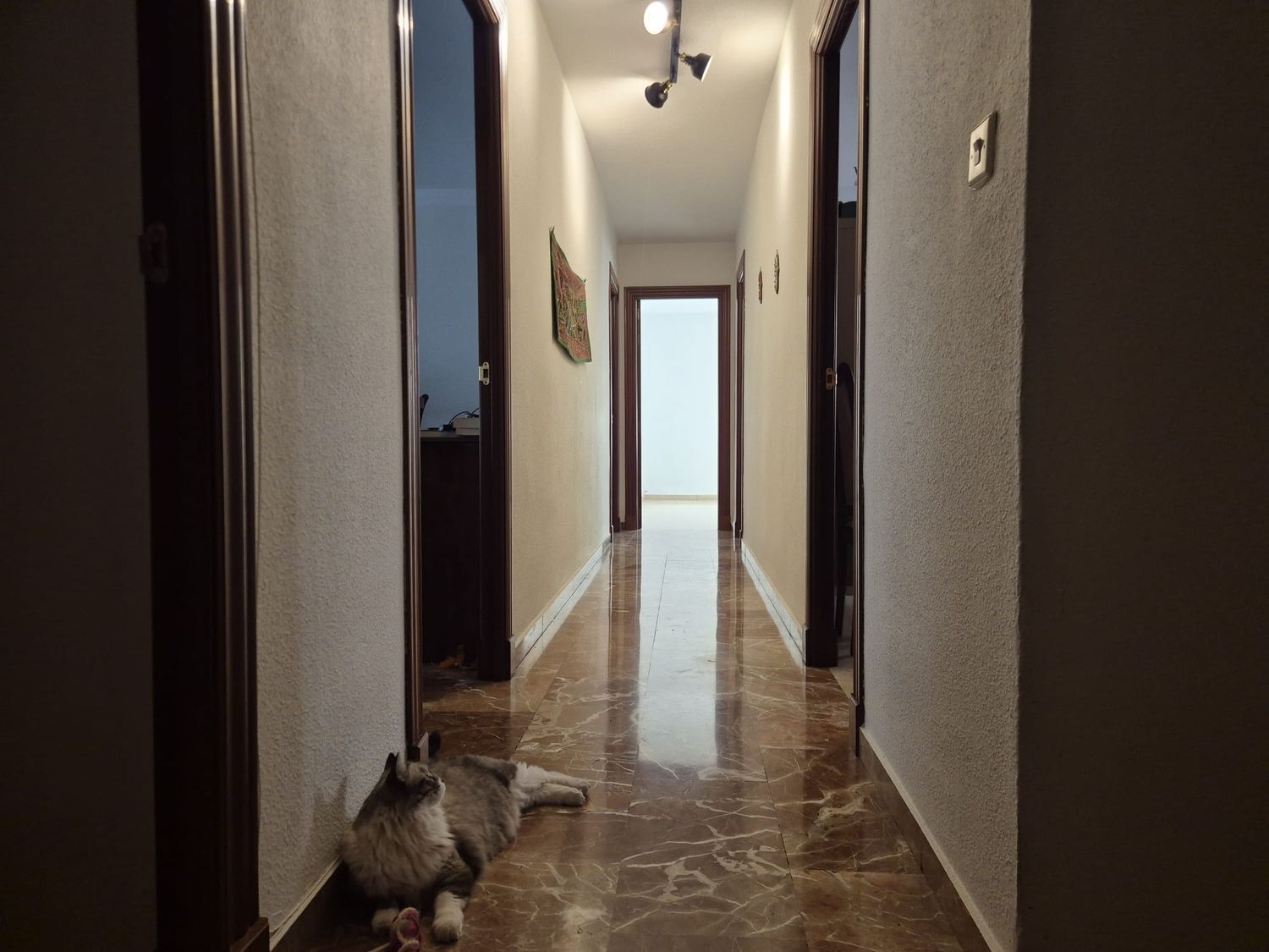 Piso en Calle Cardenal Parrado, 7, San Francisco Javier, San Francisco Javier - Foto 21