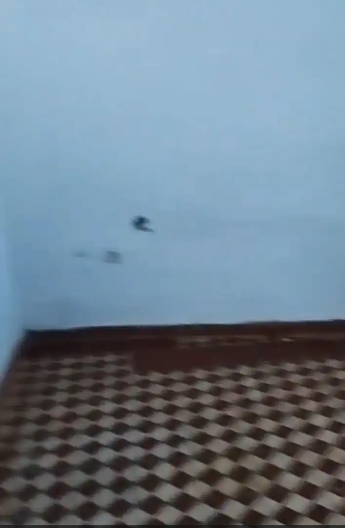 Piso en  Aldea las Delgadas 63 - Foto 8
