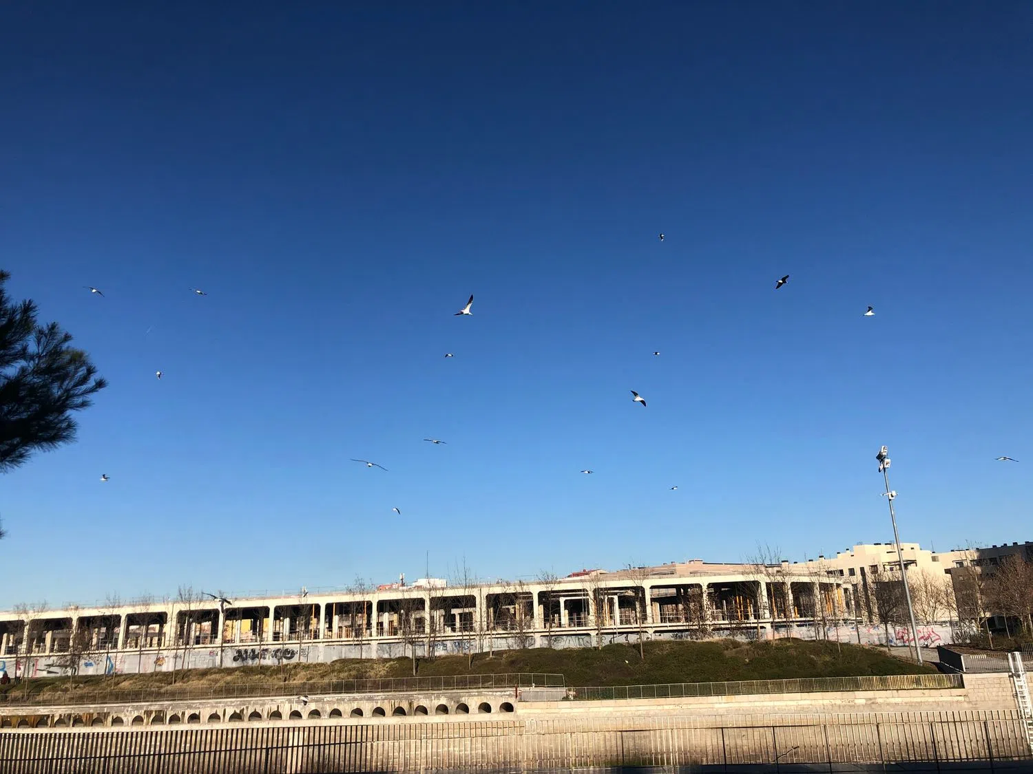 Piso en calle de Antonio López, 173 - Foto 17