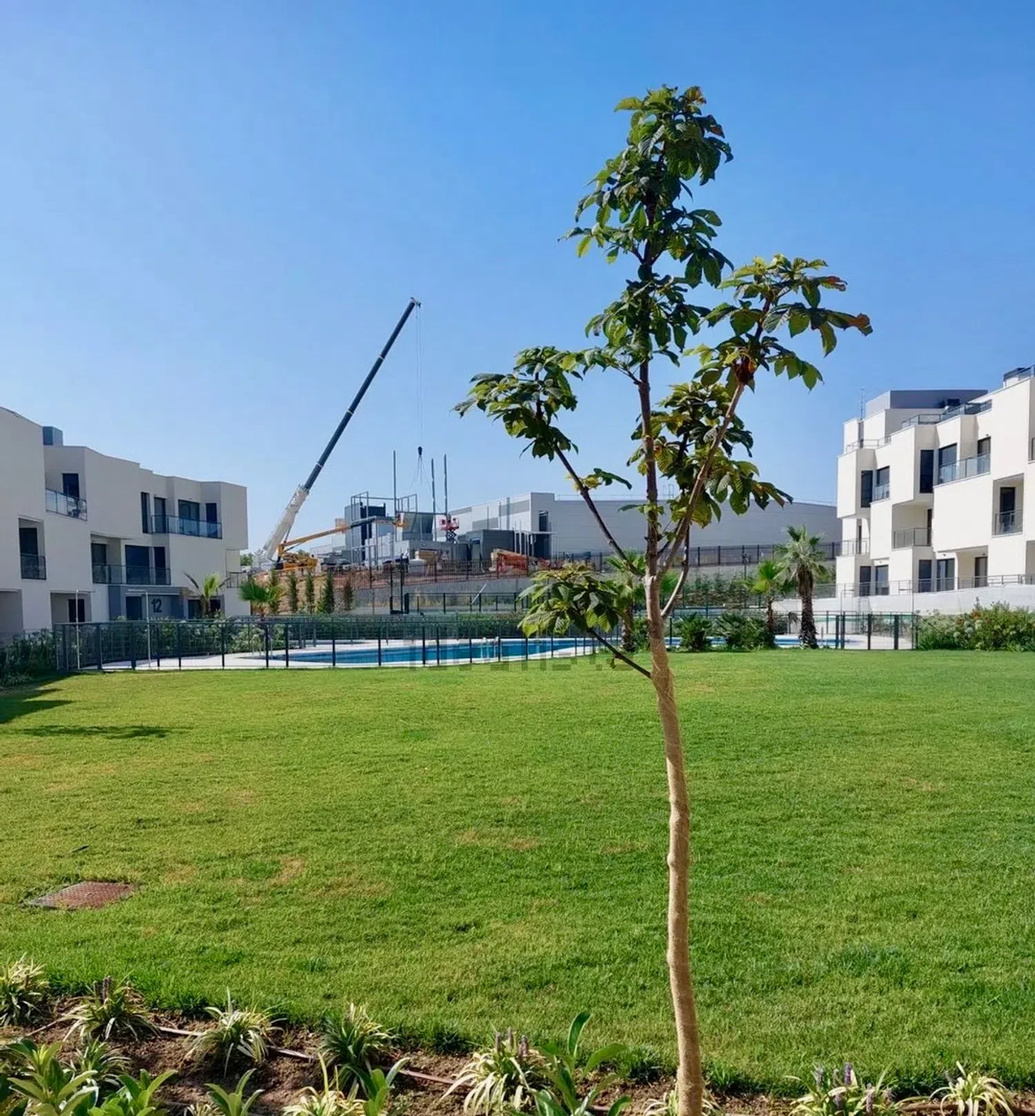 Estudio en avenida del Camino de lo Cortao, 14 - Foto 29