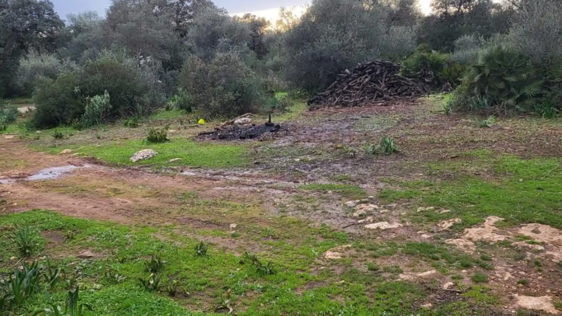 Finca rústica en  Calle Héctor Villa-Lobos 5 - Foto 6