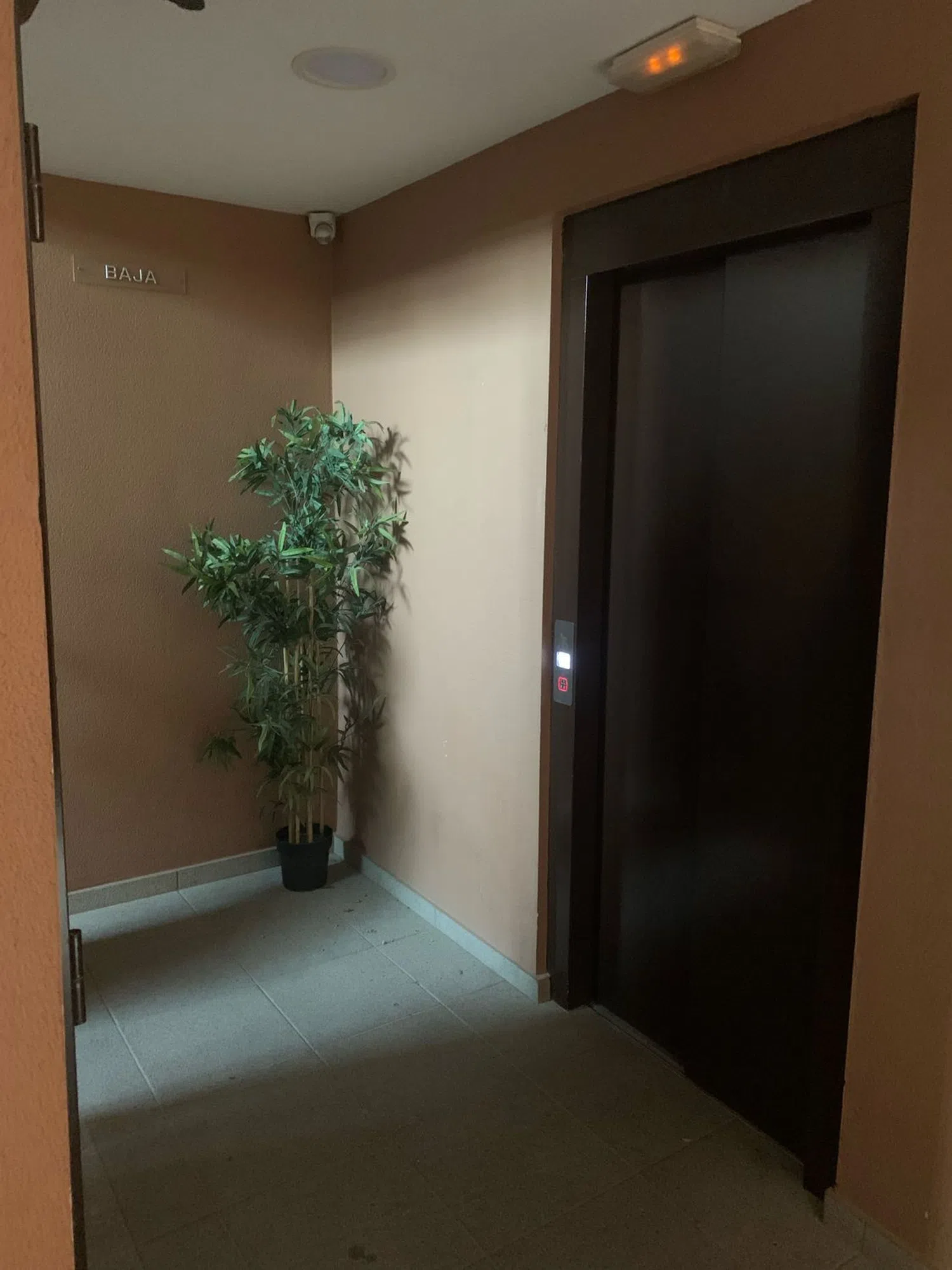 Piso en calle Profesor Manuel Clavero Arévalo, 8 - Foto 3