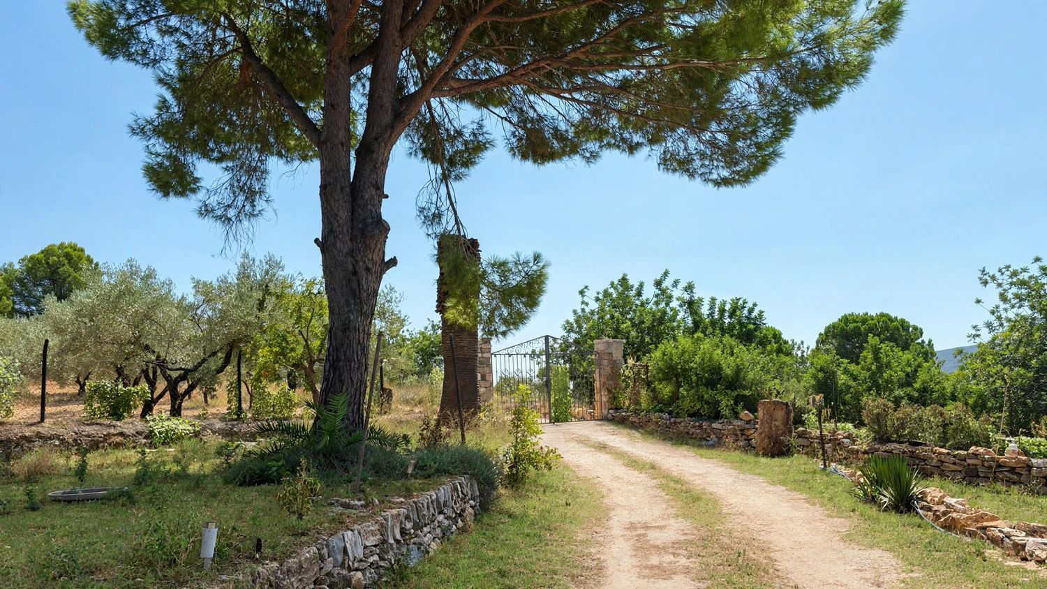 Finca rústica en Bovalar, 442, Zona Papa Luna, Zona Papa Luna - Foto 5