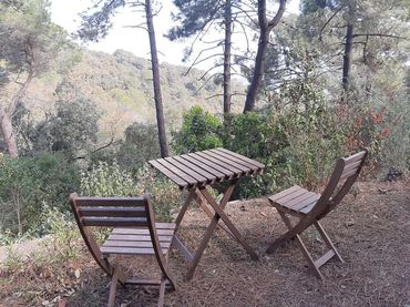 Chalet en  Carrer del Colom 23 - Foto 27