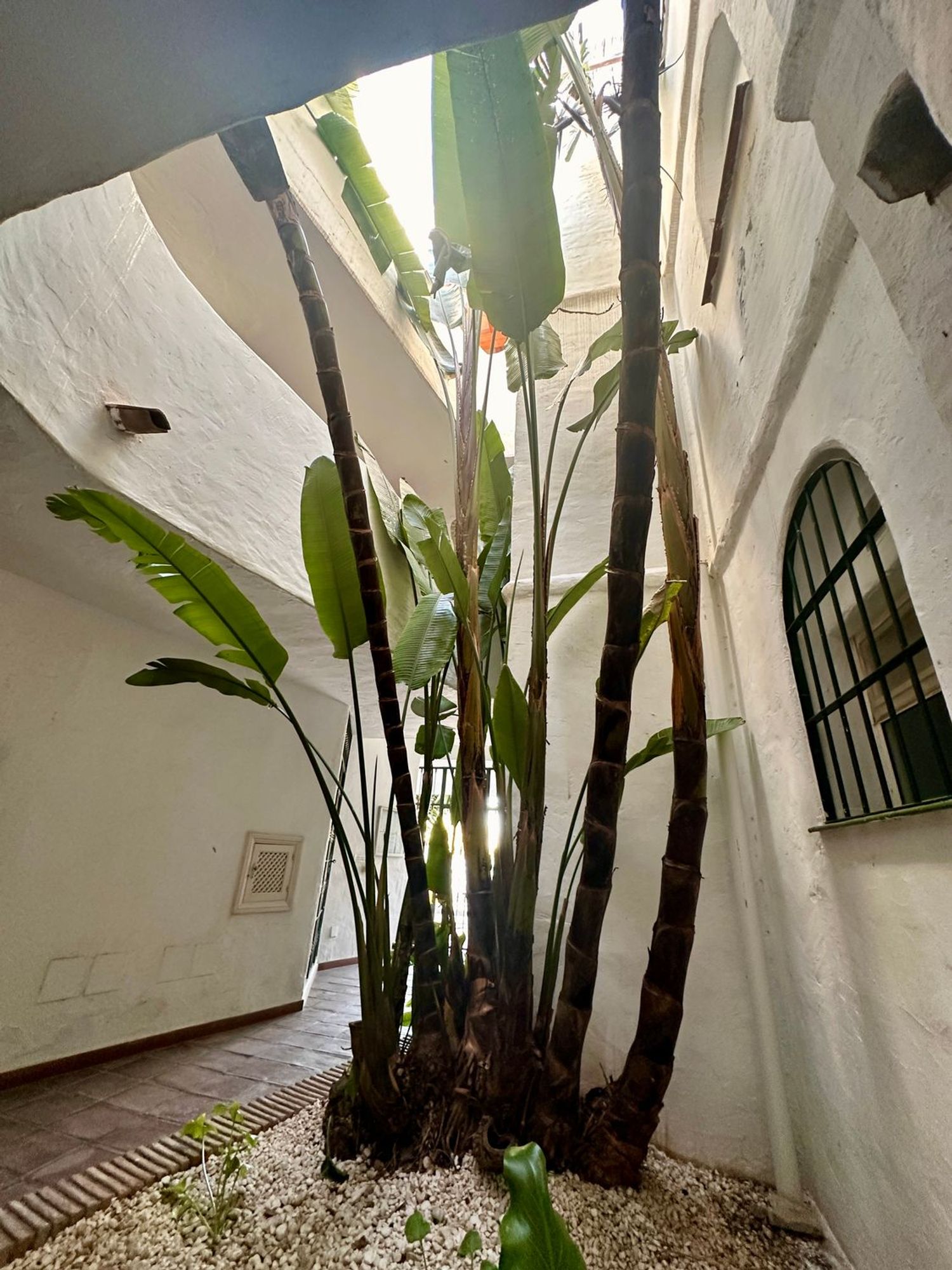 Ático en Calle San Wenceslao de Calypso, 3, Sitio de Calahonda, Sitio de Calahonda - Foto 20