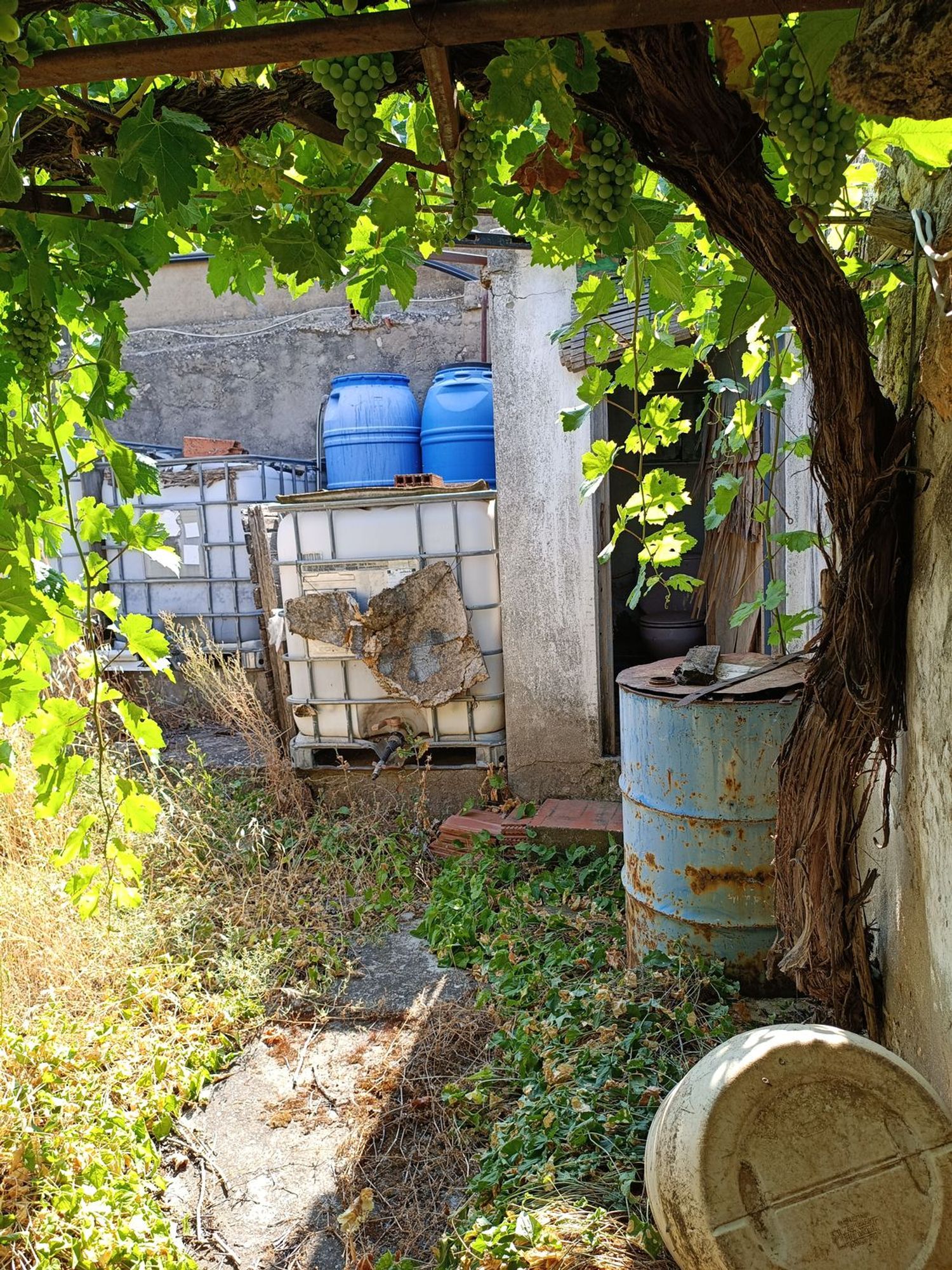 Casa terrera en Paraje Las Fuentes s/n - Foto 6