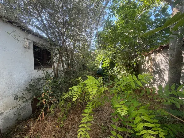 Casa de pueblo en Calle Olma, 13 - Foto 13